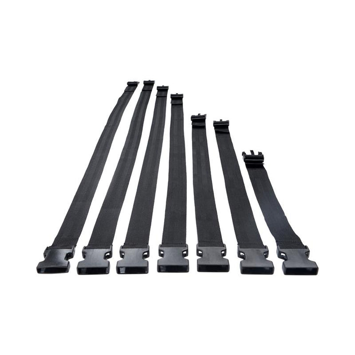 Subdued Full Body Trap Set Adjustable