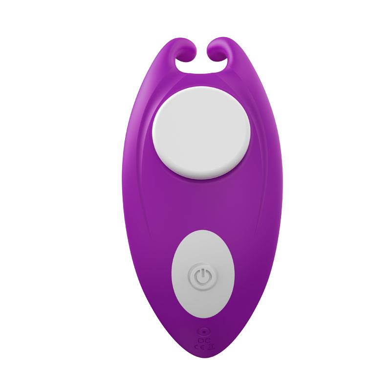 Magnetic panty vibrator