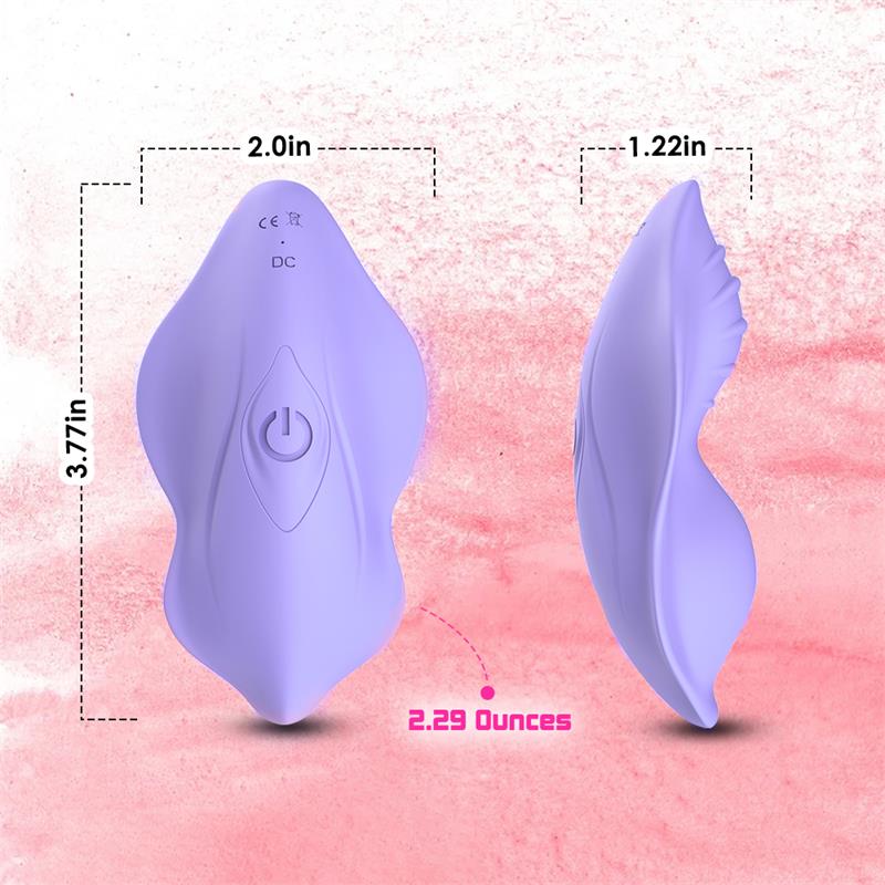 Panty Vibrator with Remote