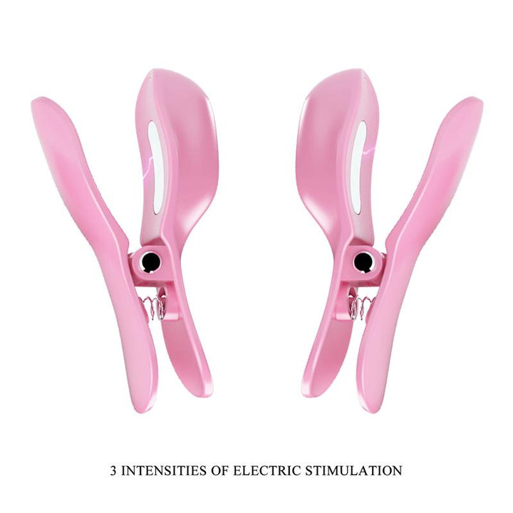 Surprise Box Vibrating Egg and Electric Shock Nipple Clamps Pink