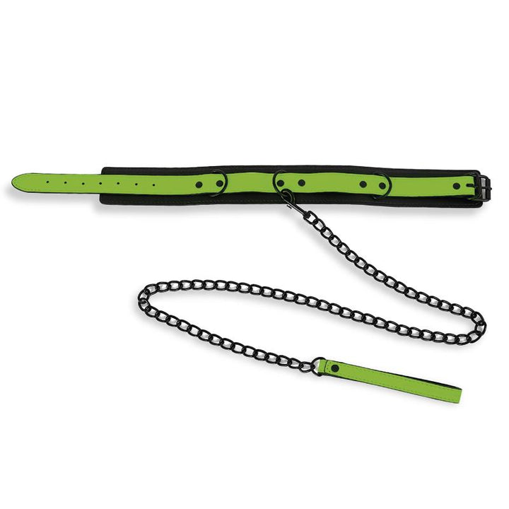 Glow in the Dark Collar with Leash