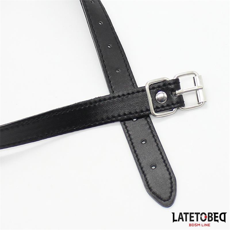 Hollow Hard Ball Gag
