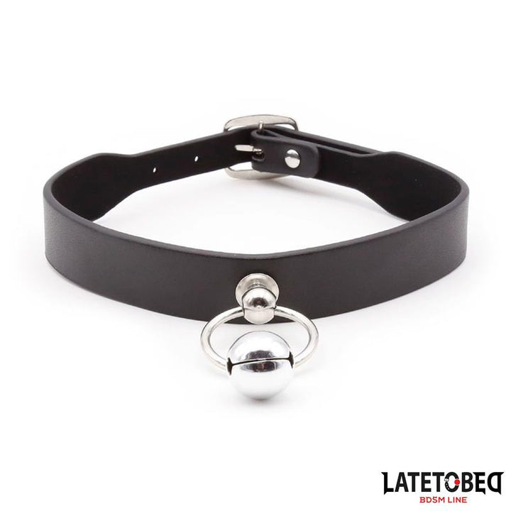 Collar with Bell and Leash