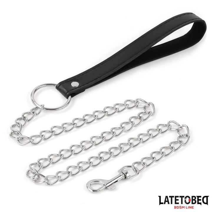Collar with Bell and Leash