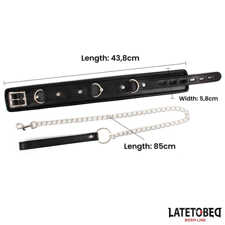 sponge collar with leash