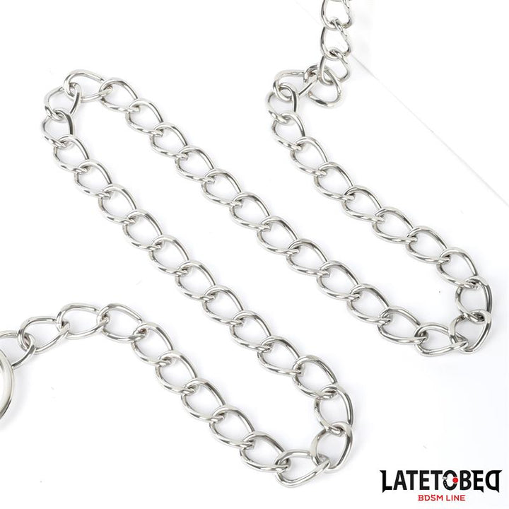 collar with Leash 52 cm