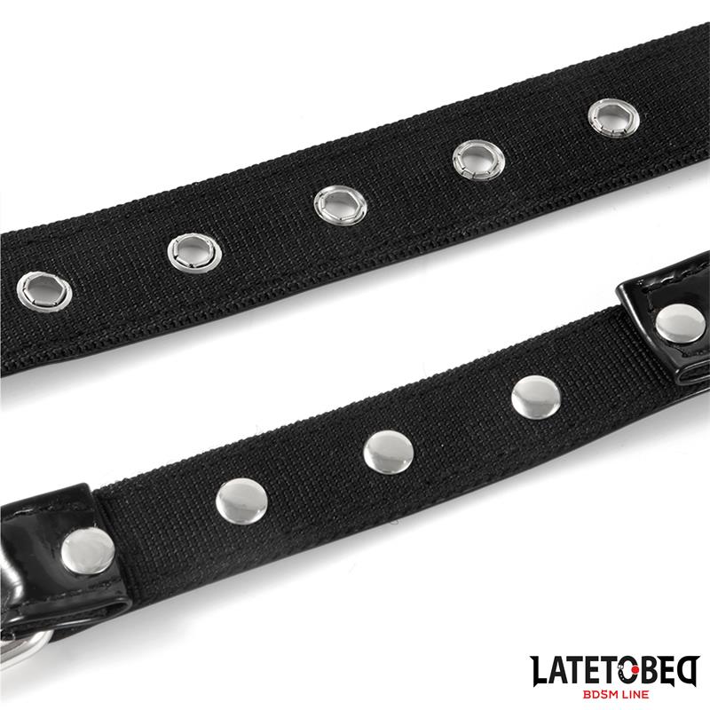 Collar with Nose Hook
