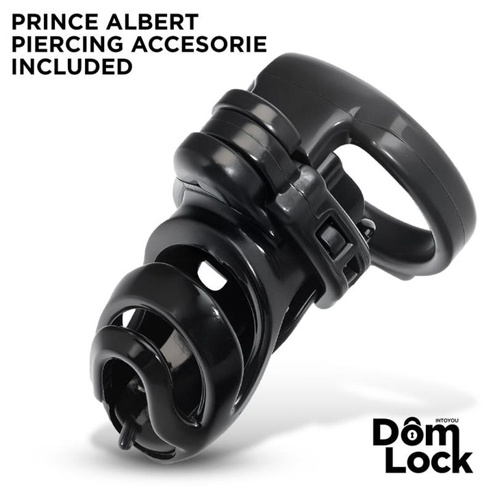 Detention Chastity Cage with Accessory for Prince Albert