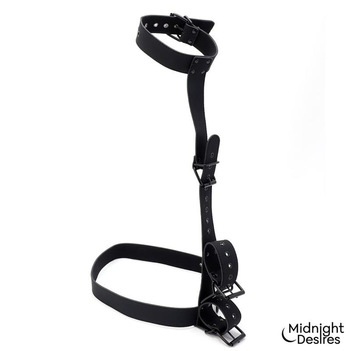 Collar and Wrist Cuffs Body Restraint Set